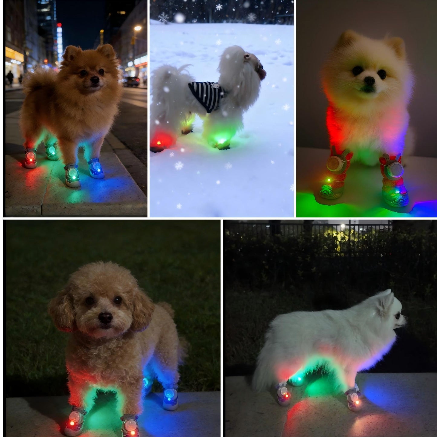2026 New Glowing Dog Shoes 4PCS LED Light-Up