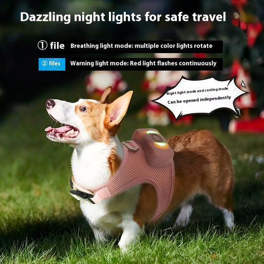 Dog Cooling Vest Harness – Breathable Summer Cooling Jacket for Dogs