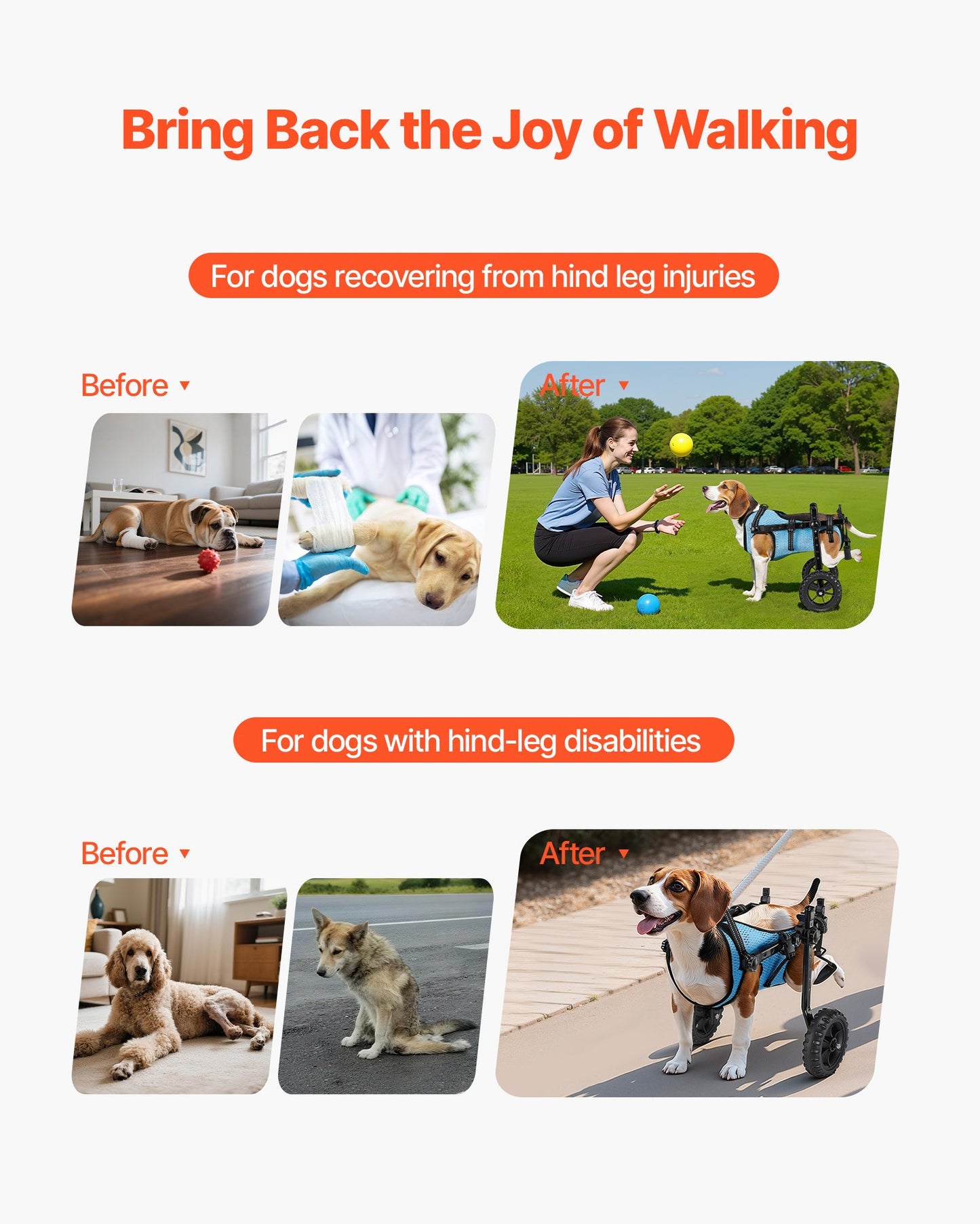 Adjustable Rear Leg Dog Wheelchair