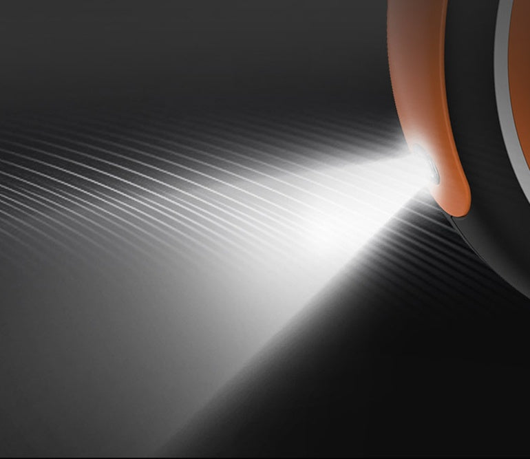 LED Retractable Dog Leash