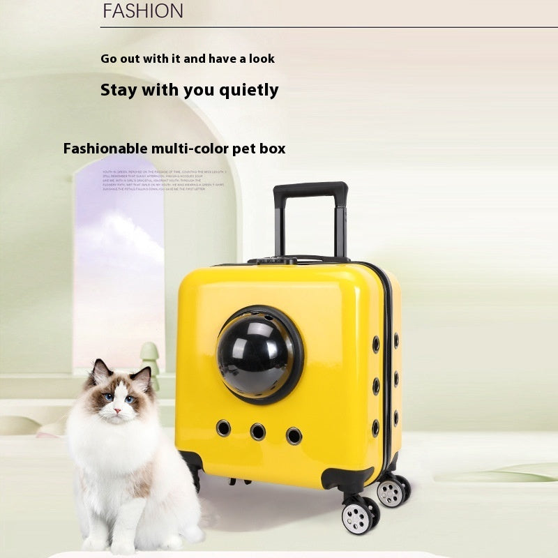 Space Capsule Bag Cat Carry Out Flight Case