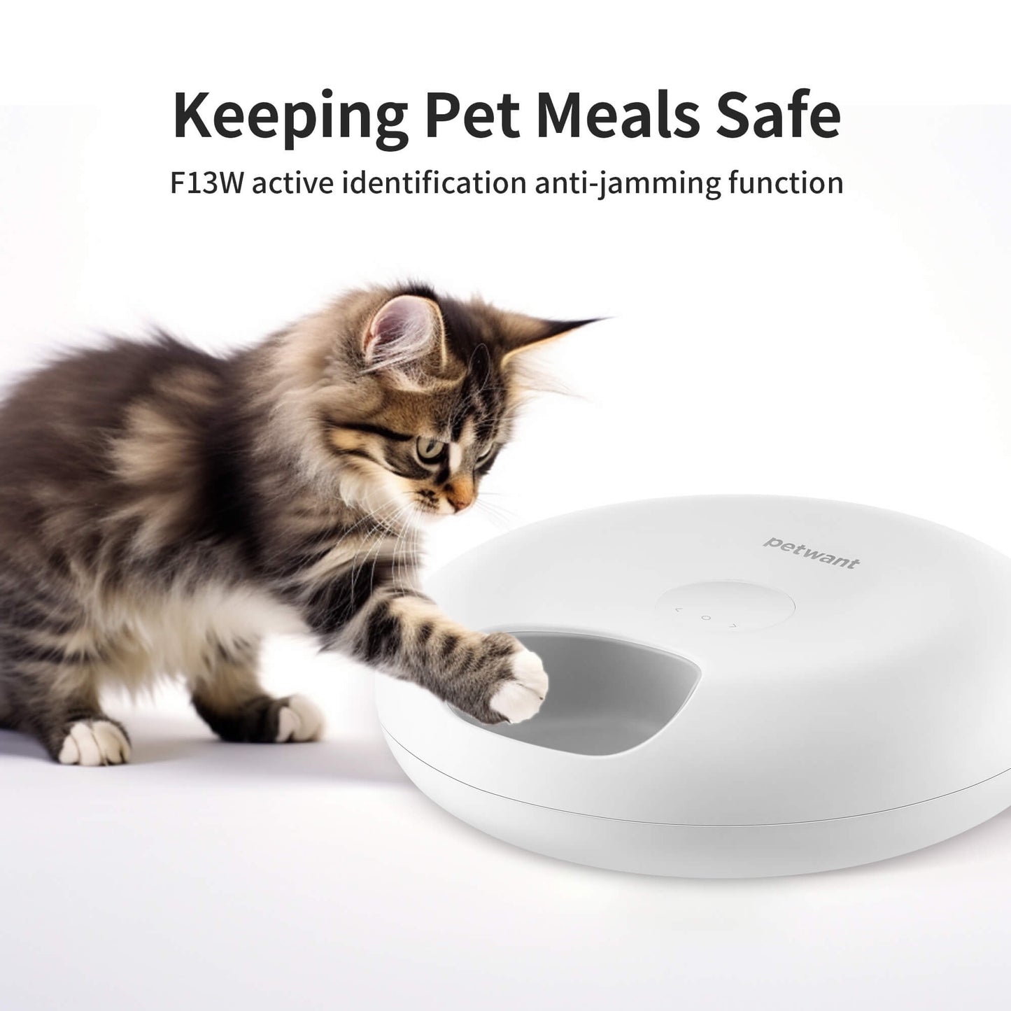 Donut Frost WiFi 6 Meal Automatic Cat Food Dispenser With App Control, Dry & Wet Food Automatic