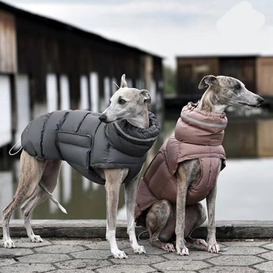 Warm Winter Dog Jacket | Thick Thermal Vest for Small & Medium Dogs