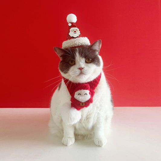Christmas Cat Scarf Pet Elderly Decorations