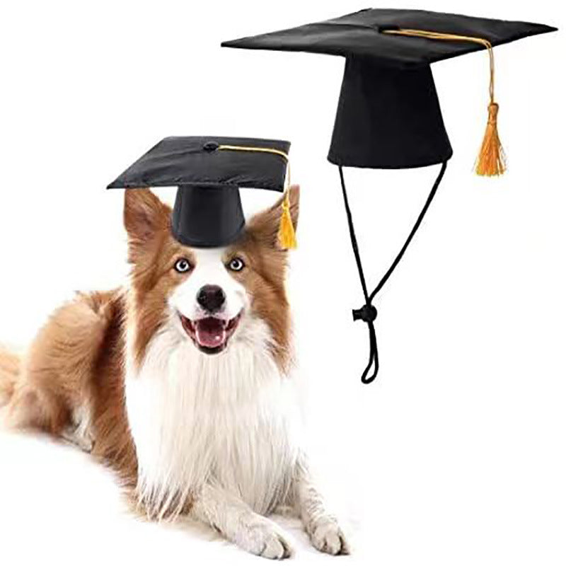 Dog Tassel Doctorial Hat Party