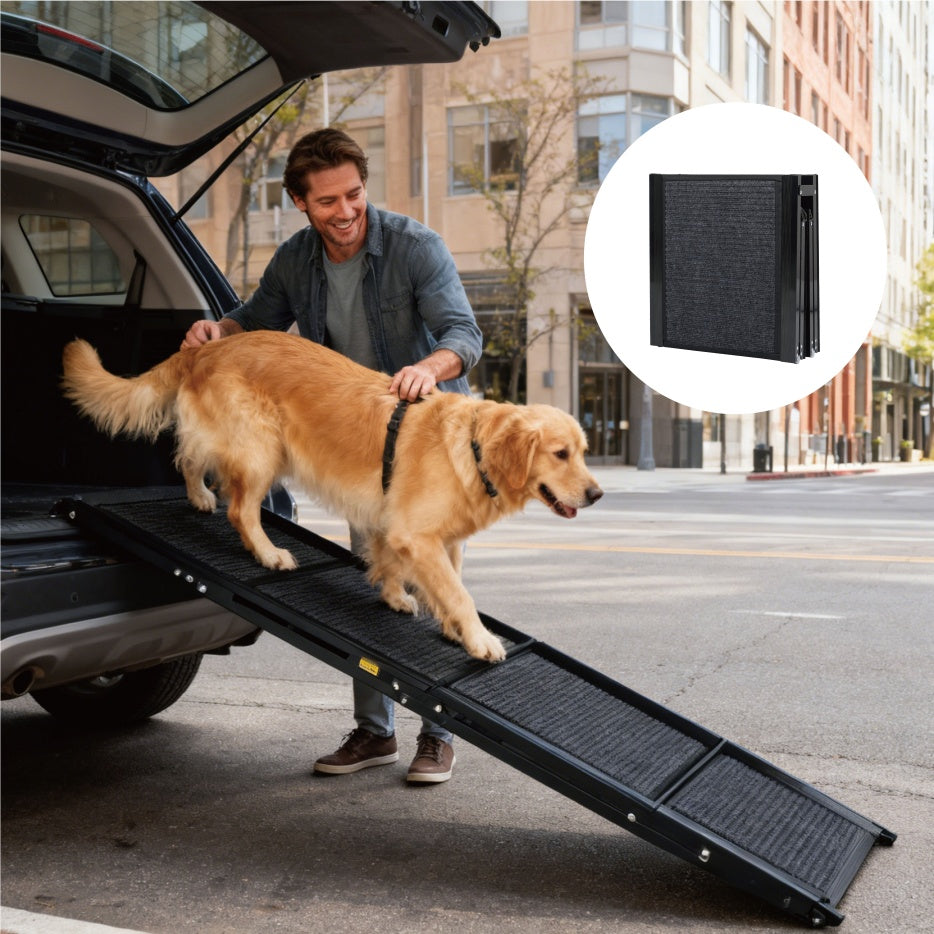 Folding dog ramp for SUV