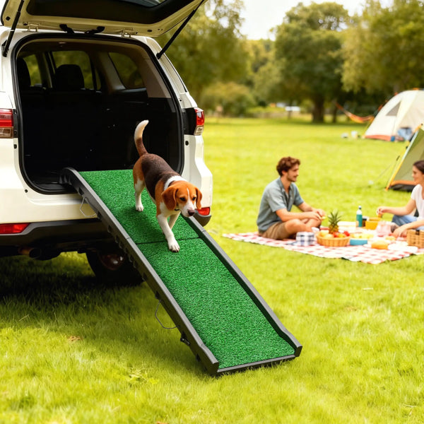 Folding dog ramp for SUV