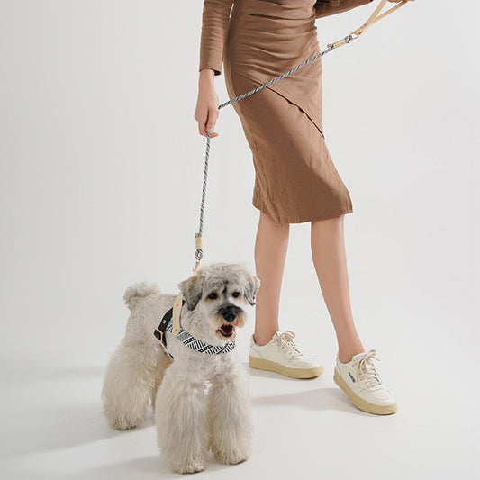 Dog Hand Holding Rope Pet Harness Chain