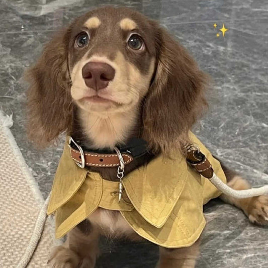 Small Dog British Style Shawl Windbreaker Pet Dog