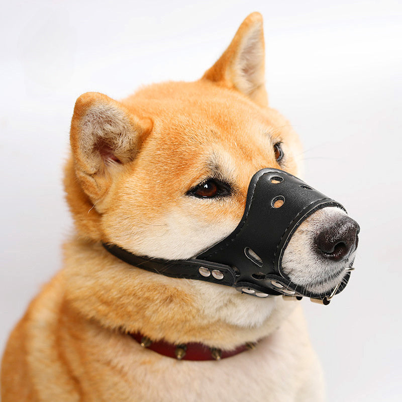Dog Muzzle Silencer Anti-barking Bite Prevention Feeding Disorder