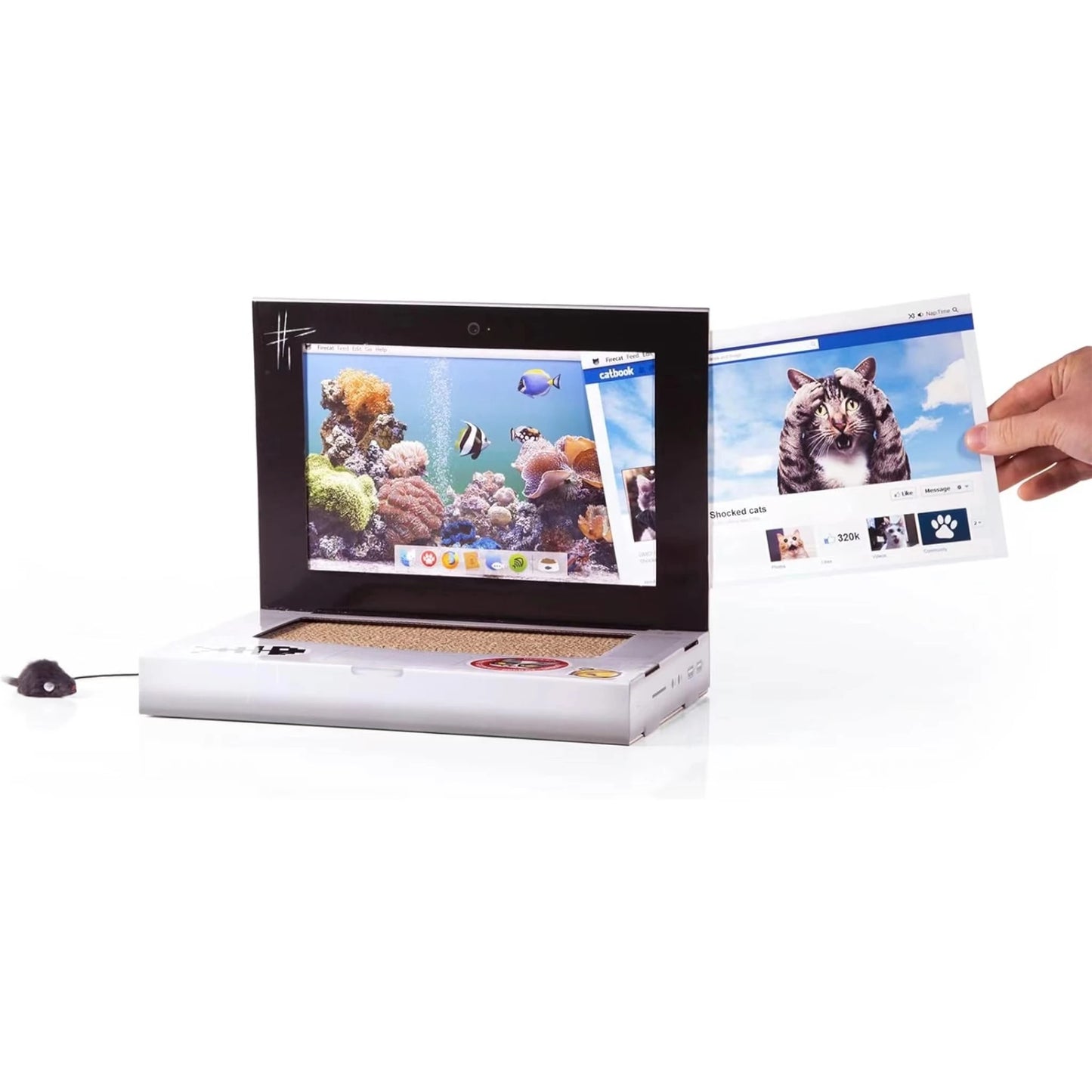 Foldable Cat Scratch Board