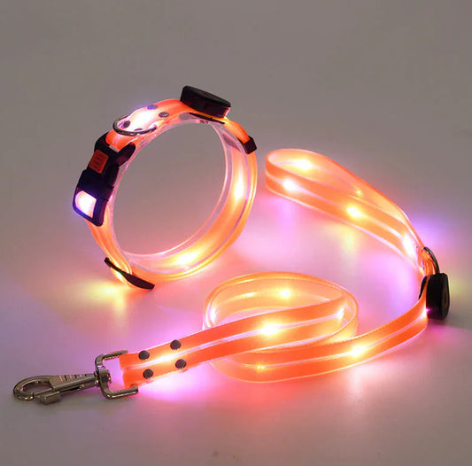 LED Luminous Collar Rechargeable Pet