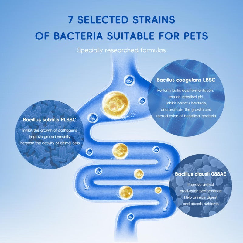 Bark And Meow Probiotics For Dogs & Cats 7 Tailored Strains Prebiotics, Pumpkin & Carrot 5 Billion CFU Scoop Human-Grade, Non-GMO, Vet-Approved, Made In USA, Gut & Immune Support