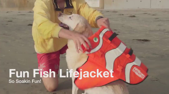 Dog shark life vest