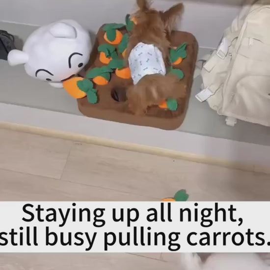 Carrot Plush Dog Toy | Interactive Snuffle &