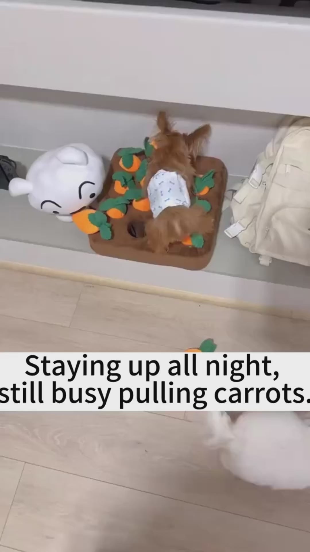 Carrot Plush Dog Toy | Interactive Snuffle &