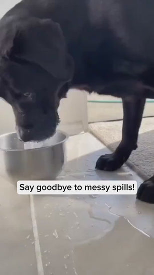 Slow drinking bowl for dogs