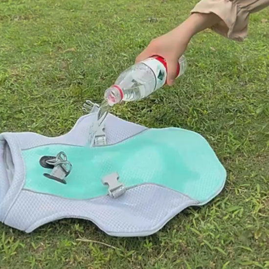 Dog Cooling Vest – Breathable Summer Cooling Jacket for Dogs