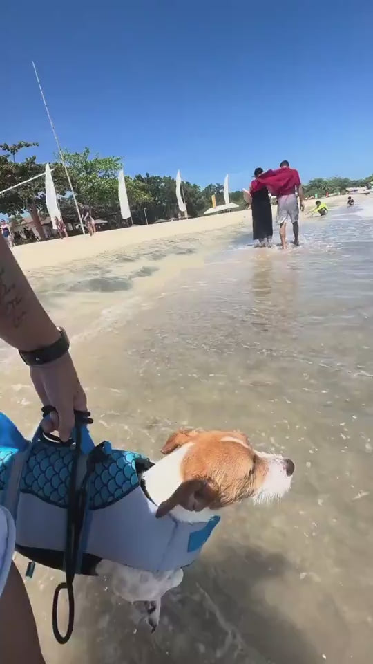 Dog Shark Life Jacket – Adjustable Swimming Vest for Dogs